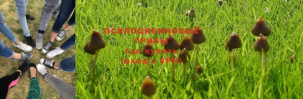 тгк Медногорск