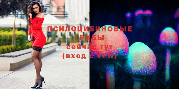 шишки Лысково