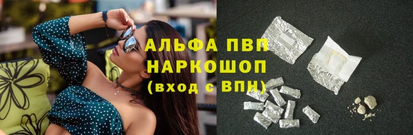 тгк Медногорск