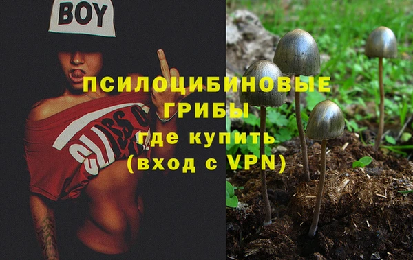 тгк Медногорск