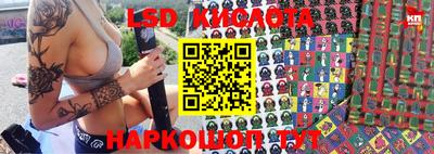 гашик Донской