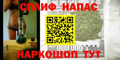 гашик Донской
