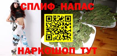 гашик Донской