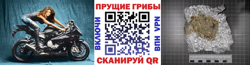 где продают наркотики  Можга  Галлюциногенные грибы Cubensis 