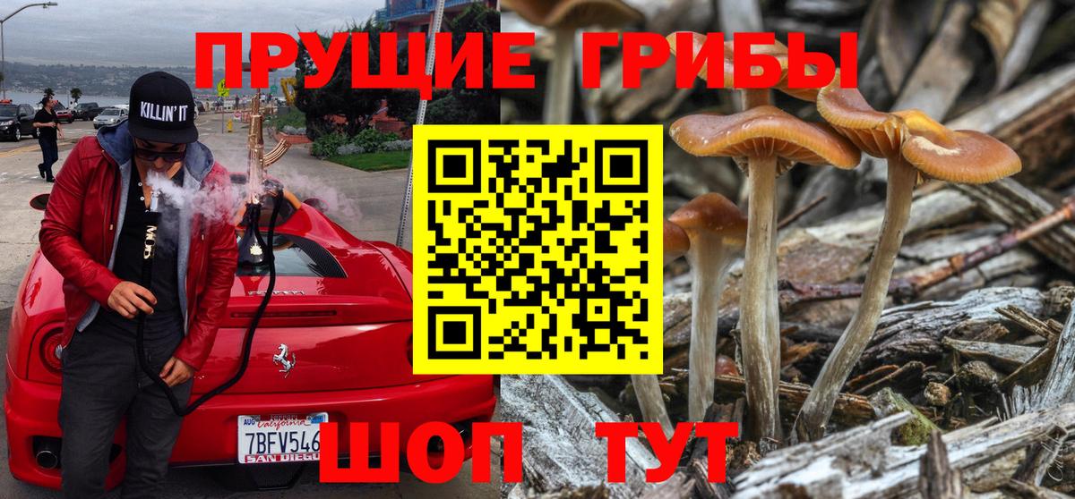 Псилоцибиновые грибы GOLDEN TEACHER  Вход с VPN  Можга 