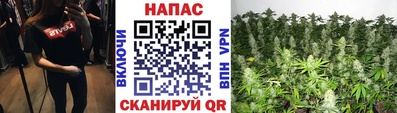 закладки  Можга  Марихуана ГИДРОПОН 