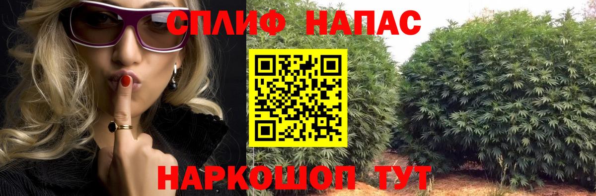Шишки марихуана семена Можга
